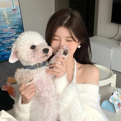 菊石